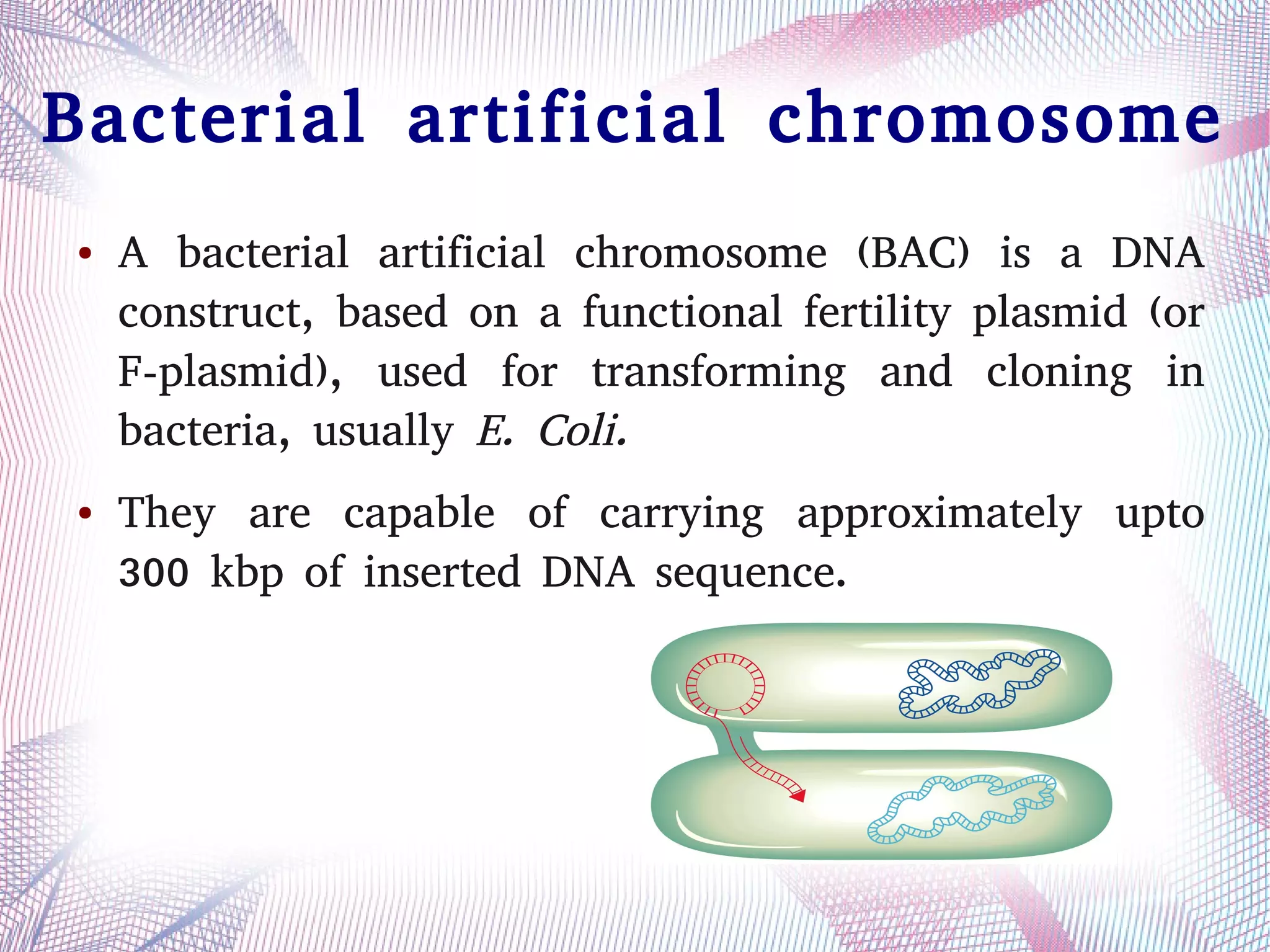 Artificial Vectors | PDF