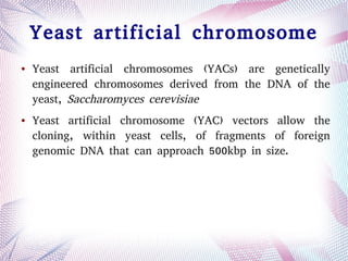 Yeast artificial chromosome
● Yeast artificial chromosomes (YACs) are genetically
engineered chromosomes derived from the DNA of the
yeast, Saccharomyces cerevisiae
● Yeast artificial chromosome (YAC) vectors allow the
cloning, within yeast cells, of fragments of foreign
genomic DNA that can approach 500kbp in size.
 