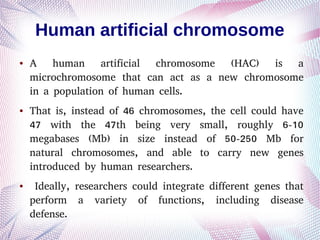 Human artificial chromosome
● A human artificial chromosome (HAC) is a
microchromosome that can act as a new chromosome
in a population of human cells.
● That is, instead of 46 chromosomes, the cell could have
47 with the 47th being very small, roughly 6-10
megabases (Mb) in size instead of 50-250 Mb for
natural chromosomes, and able to carry new genes
introduced by human researchers.
● Ideally, researchers could integrate different genes that
perform a variety of functions, including disease
defense.
 