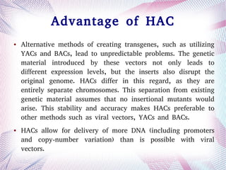 Advantage of HAC
● Alternative methods of creating transgenes, such as utilizing
YACs and BACs, lead to unpredictable problems. The genetic
material introduced by these vectors not only leads to
different expression levels, but the inserts also disrupt the
original genome. HACs differ in this regard, as they are
entirely separate chromosomes. This separation from existing
genetic material assumes that no insertional mutants would
arise. This stability and accuracy makes HACs preferable to
other methods such as viral vectors, YACs and BACs.
● HACs allow for delivery of more DNA (including promoters
and copy-number variation) than is possible with viral
vectors.
 