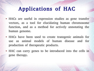 Applications of HAC
● HACs are useful in expression studies as gene transfer
vectors, as a tool for elucidating human chromosome
function, and as a method for actively annotating the
human genome.
● HACs have been used to create transgenic animals for
use as animal models of human disease and for
production of therapeutic products.
● HAC can carry genes to be introduced into the cells in
gene therapy.
 