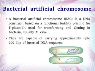 Bacterial artificial chromosome
● A bacterial artificial chromosome (BAC) is a DNA
construct, based on a functional fertility plasmid (or
F-plasmid), used for transforming and cloning in
bacteria, usually E. Coli.
● They are capable of carrying approximately upto
300 kbp of inserted DNA sequence.
 