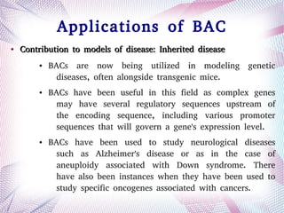 Applications of BAC
●
Contribution to models of disease: Inherited diseaseContribution to models of disease: Inherited disease
● BACs are now being utilized in modeling genetic
diseases, often alongside transgenic mice.
● BACs have been useful in this field as complex genes
may have several regulatory sequences upstream of
the encoding sequence, including various promoter
sequences that will govern a gene's expression level.
● BACs have been used to study neurological diseases
such as Alzheimer's disease or as in the case of
aneuploidy associated with Down syndrome. There
have also been instances when they have been used to
study specific oncogenes associated with cancers.
 