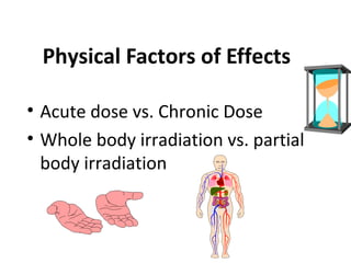 Physical Factors of Effects
• Acute dose vs. Chronic Dose
• Whole body irradiation vs. partial
body irradiation
 