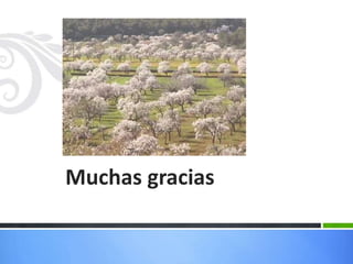 Muchas gracias
 