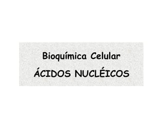 Bioquímica Celular ÁCIDOS NUCLÉICOS 