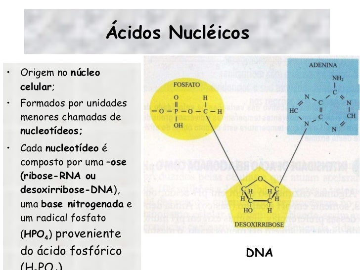 Resultado de imagem para Fosfato: Um radical de ácido fosfórico