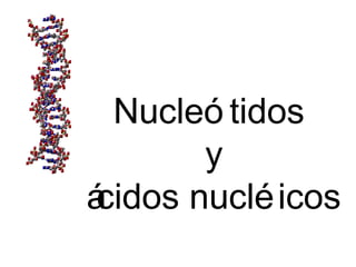 Nucleó tidos
y
ácidos nucléicos
 