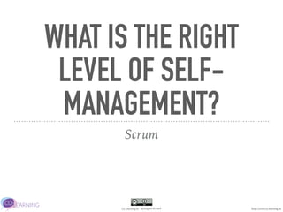 Co-Learning.be - @JurgenLACoach
WHAT IS THE RIGHT
LEVEL OF SELF-
MANAGEMENT?
Scrum
http://www.co-learning.be
 