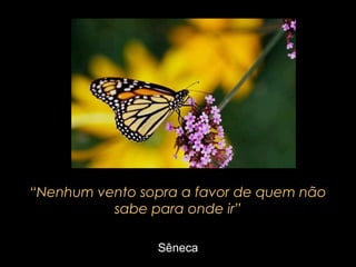 “Nenhum vento sopra a favor de quem não
sabe para onde ir”
Sêneca

 