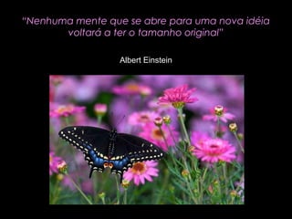 “Nenhuma mente que se abre para uma nova idéia
voltará a ter o tamanho original”
Albert Einstein

 