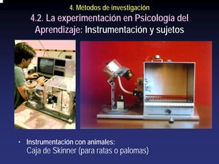 4. Métodos de investigación
   4.2. La experimentación en Psicología del
    Aprendizaje: Instrumentación y sujetos




• Instrumentación con animales:
  Caja de Skinner (para ratas o palomas)
 