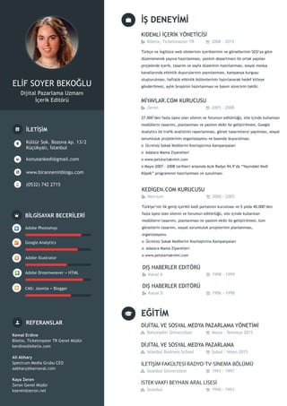 Elif_Soyer_infografikCV
