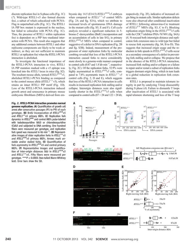 Science2013Vannier23942 PDF