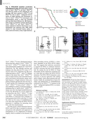 Trp53−/−
RTEL1+/IA
v5 mice. Histological analysis
showed that both cohorts of Trp53−/−
RTEL1+/IA
v5
and Trp53−/−
RTEL1IA/IA
v5 mutant mice devel-
oped predominantly lymphomas (61.5 and 70.6%,
respectively; Fig. 4B), although sarcomas and
teratomas were also observed (15.4 versus 14.7%
and 10.3 versus 14.7%, respectively; Fig. 4B), as de-
scribed previously in Trp53−/−
mice (17). Telomere
analysis of the tumors from Trp53−/−
RTEL1IA/IA
v5
mice revealed extensive sister chromatid fusions,
end-to-end fusions with telomeric repeats, and a
high frequency of fragile telomeres when com-
pared to nontumor cells from the same mice (Fig. 4,
C and D, and fig. S7I). Furthermore, tumors from
Trp53−/−
RTEL1+/IA
v5 mice or Trp53−/−
RTEL1+/+
mice exhibited no evidence of telomere fragility or
dysfunction (Fig. 4, C and D). Trp53−/−
RTEL1IA/IA
v5
mutant mice also developed medulloblastomas
(12.8%; Fig. 4B and fig. S7, A to F), which were
not observed in the Trp53−/−
RTEL1+/IA
v5 mice
or in Trp53−/−
mice described previously (17). Be-
cause RTEL1 is expressed in the cerebellar ex-
ternal granular layer (EGL) cells (fig. S7, G and
H), which are the source of medulloblastomas
(18), these data suggest that the RTEL1-PCNA
interaction is important for protecting these
EGL cells from transformation.
Our data reveal a critical interaction between
RTEL1 and PCNA that is essential for telomere
and genome-wide replication and suppression of
tumorigenesis in vivo. Suppression of telomere
fragility, which we attribute to the telomeric G4-
DNA unwinding activity of RTEL1, is abso-
lutely dependent on the RTEL1-PCNA interac-
tion. This suggests that replisome association
is required for RTEL1 to counteract telomeric
G4-DNA structures that arise at the replication
fork. By contrast, the role for RTEL1 in T-loop
disassembly and the suppression of telomere loss
as a circle does not require the RTEL1-PCNA
interaction. The RTEL1-PCNA interaction is also
necessary to prevent replication fork stalling
and/or collapse, which affects genome-wide rep-
lication. Finally, the accelerated rate of tumor for-
mation and predisposition to medulloblastomas
conferred by the RTEL1IA/IA
v5 mutation in the
Trp53−/−
background implicates RTEL1 as a tumor-
suppressor gene.
References and Notes
1. J. R. Chapman, M. R. Taylor, S. J. Boulton, Mol. Cell 47,
497–510 (2012).
2. L. J. Barber et al., Cell 135, 261–271 (2008).
3. J. L. Youds et al., Science 327, 1254–1258 (2010).
4. J. B. Vannier, V. Pavicic-Kaltenbrunner,
M. I. Petalcorin, H. Ding, S. J. Boulton, Cell
149, 795–806 (2012).
5. H. Ding et al., Cell 117, 873–886 (2004).
6. K. Gari et al., Science 337, 243–245 (2012).
7. J. Essers et al., Mol. Cell. Biol. 25, 9350–9359
(2005).
8. A. Montagnoli et al., Nat. Chem. Biol. 4, 357–365
(2008).
9. L. C. Chuang et al., Mol. Cell 35, 206–216 (2009).
10. A. Sfeir et al., Cell 138, 90–103 (2009).
11. E. J. Uringa et al., Mol. Biol. Cell 23, 2782–2792
(2012).
12. B. J. Ballew et al., Hum. Genet. 132, 473–480
(2013).
13. A. J. Walne, T. Vulliamy, M. Kirwan, V. Plagnol,
I. Dokal, Am. J. Hum. Genet. 92, 448–453
(2013).
14. T. Le Guen et al., Hum. Mol. Genet. 22, 3239–3249
(2013).
15. K. M. Egan et al., J. Neurooncol. 104, 535–542
(2011).
16. S. Shete et al., Nat. Genet. 41, 899–904 (2009).
17. T. Jacks et al., Curr. Biol. 4, 1–7 (1994).
18. R. J. Gilbertson, D. W. Ellison, Annu. Rev. Pathol. 3,
341–365 (2008).
Acknowledgments: We thank the Protein Analysis and
Proteomics group at London Reasearch Institute for
mass spectrometry and J. Mendez for MCM2 antibody.
Research in the DNA damage response lab of S.J.B. is
funded by Cancer Research UK and by a European
Research Council (ERC) Advanced Investigator Grant
(RecMitMei). S.J.B. is a recipient of a Royal Society
Wolfson Research Merit Award. The laboratory of H.D.
is supported by Canada Research Chair program,
Canada Institute of Health Research, Manitoba Institute
of Child Health, and Terry Fox Research Institute.
J.-B.V. is funded by a long-term fellowship from ERC,
and S.S. and Z.N. are supported by the fellowships from
Natural Sciences and Engineering Research Council of
Canada (to S.S.) and the Manitoba Health Research
Council (to Z.N.).
Supplementary Materials
www.sciencemag.org/content/342/6155/239/suppl/DC1
Materials and Methods
Figs. S1 to S7
Table S1
References (19–26)
11 June 2013; accepted 11 September 2013
10.1126/science.1241779
Fig. 4. RTEL1IA/IA mutation accelerates
tumorigenesis in mice. (A) Kaplan-Meier survival
curves of Trp53−/−
RTEL1IA/+
v5 and Trp53−/−
RTEL1IA/IA
v5
mice with the number of mice indicated for each
genotype. (B) Tumor spectrum in RTEL1IA/+
v5 and
RTEL1IA/IA
v5 mice in Trp53−/−
background. (C) Fre-
quency of fragile telomeres and chromosome fu-
sions in Trp53−/−
RTEL1IA/IA
v5 tumorigenic and
nontumorigenic tissues. P value was calculated
with two-tailed Mann-Whitney test. (D) Represen-
tative images of metaphase spreads derived from
Trp53−/−
RTEL1IA/+
v5 and Trp53−/−
RTEL1IA/IA
v5
tumors subjected to telomere fluorescence in situ
hybridization (red, telomeres; blue, DNA). White
asterisk (*), sister chromatid fusions; yellow as-
terisk, end-to-end fusions; arrows, fragile telomeres.
11 OCTOBER 2013 VOL 342 SCIENCE www.sciencemag.org242
REPORTS
 