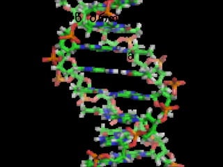 ერვინ შროდინგერი
:თემა დნმ
თეონა ადამაძე
ნინო ნადიბაიძე
თამთა ნემსიწვერიძე
ავთო კვინტრაძე
ნიკა მელაძე
 