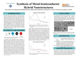 Synthesis of Metal-Semiconductor
Hybrid Nanostructures
Juan Angel Castro, Department of Biological Sciences, Dmitriy Khon, Department of Chemistry, St. Mary’s University, San Antonio, TX 78228
MATERIALS AND METHODS
INTRODUCTION
ACKNOWLEDGMENTS
The final process consisted of different precursors such as Zinc
Acetate, Cadmium Oxide and Lead Oxide to synthesize Au/ZnS,
Au/CdS, and Au/PbS, respectively. The cation exchange reaction
utilizes tributylphosphine, which acts as phase-transfer agent by
transporting metal ions to the surface of the core nanoparticles. The
synthesis of the metal-semiconductor nanostructures took place with
the injection of the precursor solution and tributylphosphine at 60°C. In
accordance to the THSAB, the precursor molecules used in the
synthesis of metal-semiconductor nanostructures are hard acids. In turn,
the tributylphosphine (soft base) transports the precursor ions (hard
acids), to the core of the nanoparticle. These ions will exchange with
silver allowing the silver (soft acid) to interact with tributylphosphine
(soft base). Therefore, the sulfur shell (hard acid) will interact with the
precursor ions which are hard bases. The absorbance spectra for the
Metal-Semiconductor Nanostructures can be seen in Figure 3.
The synthesis of Metal-Semiconductor Hybrid Nanostructures is
summarized in Figure 1. Synthesis of Gold (Au) nanostructures was
attained by dissolving Gold III Chloride in Acetone --in a multi-neck
round bottom flask with septa. Once connected under argon flow,
oleylamine was added and allowed to react for 30 minutes at 100°C.
After the synthesis of Au cores a Silver (Ag) shell was used to coat
them. Au/Ag core synthesis consisted of consecutive additions of the
AgNO3/H2O precursor at 120°C. Rapid addition of AgNO3/H2O caused
isolated Ag nanoparticles to form. Synthesizing the Ag shell offers
thermodynamic control, growth control and a useful characteristic by
the Theory of Hard-Soft Acids and Bases (THSAB) which categorizes
the Ag as a soft acid. The next step was to modify the silver-compound
shell with an amorphous structure of the Au/Ag. To modify the shell,
sulfur was dissolved and diluted with oleylamine which was carefully
injected in a drop-wise manner. This reaction occurred at 25°C and was
terminated once a desired absorbance graph was attained for the
Au/Ag2S nanoparticles. According to the THSAB, sulfur is considered
to be a soft base. The absorbance spectra for Au, Au/Ag and Au/Ag2S
can be seen in Figure 2.
As a result from the multistep and cation exchange reactions, successful
Metal-Semiconductor Hybrid Nanostructures where synthesized.
Transmission Electron Microscopy (TEM) was used to confirm the
core/shell morphology of the final product.. Figure 4 shows the images
obtained for each intermediate nanostructure in the synthesis of Metal-
Semiconductor Hybrid Nanostructures. Unfortunately, the TEM image
of the Au/PbS was not obtained.
Zhang, J., Y. Tang, K. Lee, and M. Ouyang. "Nonepitaxial Growth
of Hybrid Core-Shell Nanostructures with Large
Lattice Mismatches." Science 327.5973 (2010): 1634-
638. Print.
Schneider, Grégory, Gero Decher, Nicolas Nerambourg, Raïssa Praho,
Martinus H. V. Werts, and Mireille Blanchard-Desce.
"Distance-Dependent Fluorescence Quenching on Gold
Nanoparticles Ensheathed with Layer-by-Layer Assembled
Polyelectrolytes."Nano Letters 6.3 (2006): 530-36. Print.
Pearson, Ralph G. "Hard and Soft Acids and Bases, HSAB, Part 1:
Fundamental Principles."Journal of Chemical Education 45.9
(1968): 581. Print.
Metal-Semiconductor Hybrid Nanoparticles offer quantum dots that
consist of a heterostructure with a metal core and a monocrystalline
semiconductor shell. The application of these nanostructures can be
utilized for the production of Light Emitting Diodes (LED’s), Lasers,
Solar Cells and Biosensing. For this experiment, the metal core
consisted of a gold precursor while the monocrystalline shell consisted
of CdS, PbS, or ZnS. The synthesis of these Metal-Semiconductor
Nanoparticles were attained via a series of reactions involving a cation
exchange. Following The Theory of Hard-Soft Acids and Bases, which
utilized Tributylphosphine, the cation exchange reaction was able to
proceed. Tributylphosphine acts as a phase-transfer agent which
transports metal ions to the surface of the nanoparticle core by binding
to the free cations in solution. The final nanostructures synthesized
during this process were Au/CdS, Au/PbS and Au/ZnS. Transmission
Electron Microscopy (TEM) was utilized to confirm the core/shell
morphology of the final product.
Figure 2: The absorbance for Au. Au/Ag and Au/Ag2S. Each intermediate
absorbs at different wavelengths allowing the differentiation between these
nanostructures.
Au Au/Ag Au/Ag2S
Au/CdS Au/ZnS
No TEM available for
Au/PbS
Figure 1: Synthesis process and intermediate nanoparticles for the production
of Metal-Semiconductor Hybrid Nanostructures.
Figure 3: The absorbance spectra for the Metal Semiconductor Nanostructures
Au/CdS, Au/PbS and Au/ZnS.
Figure 4: The Transmission Electron Microscopy (TEM) images for the intermediate
nanostructures obtained throughout the synthesis of Metal-Semiconductor Hybrid
Nanostructures.
T=60 °C
Metal-
Semiconductor
Gold III Chloride
Acetone
Oleylamine
Gold
Cores
T=100 °C T=120 °C T=25 °C
Au/Ag
core-shell
Au/Ag2S
CONCLUSION
REFERENCES
This research was supported in part by Saint Mary’s University
Research Grant. I would like to thank Dr. Dmitriy Khon and Dr.
Richard Cardenas for providing me with the opportunity to participate
in this project. I also would like to thank Dr. Mikhail Zamkov and his
group for welcoming me into their laboratory at Bowling Green State
University and allowing me to take part in this research project.
 