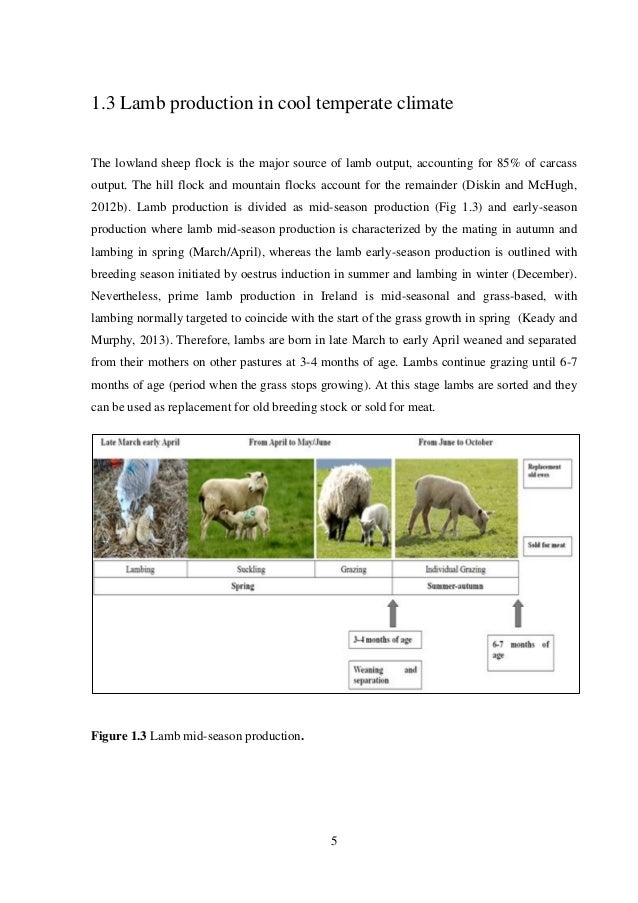 Muhs thesis topics 2018 picture