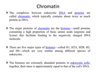 Chromatin
 The complexes between eukaryotic DNA and proteins are
called chromatin, which typically contains about twice as much
protein as DNA.
 The major proteins of chromatin are the histones—small proteins
containing a high proportion of basic amino acids (arginine and
lysine) that facilitate binding to the negatively charged DNA
molecule.
 There are five major types of histones—called H1, H2A, H2B, H3,
and H4—which are very similar among different species of
eukaryotes .
 The histones are extremely abundant proteins in eukaryotic cells;
together, their mass is approximately equal to that of the cell's DNA.
 