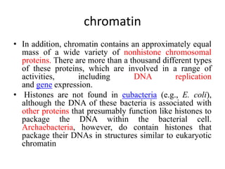 chromatin
• In addition, chromatin contains an approximately equal
mass of a wide variety of nonhistone chromosomal
proteins. There are more than a thousand different types
of these proteins, which are involved in a range of
activities, including DNA replication
and gene expression.
• Histones are not found in eubacteria (e.g., E. coli),
although the DNA of these bacteria is associated with
other proteins that presumably function like histones to
package the DNA within the bacterial cell.
Archaebacteria, however, do contain histones that
package their DNAs in structures similar to eukaryotic
chromatin
 