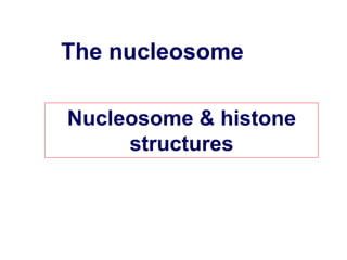 The nucleosome
Nucleosome & histone
structures
 