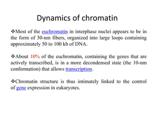 Most of the euchromatin in interphase nuclei appears to be in
the form of 30-nm fibers, organized into large loops containing
approximately 50 to 100 kb of DNA.
About 10% of the euchromatin, containing the genes that are
actively transcribed, is in a more decondensed state (the 10-nm
conformation) that allows transcription.
Chromatin structure is thus intimately linked to the control
of gene expression in eukaryotes.
Dynamics of chromatin
 
