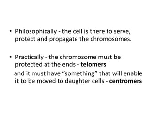 • Philosophically - the cell is there to serve,
protect and propagate the chromosomes.
• Practically - the chromosome must be
protected at the ends - telomers
and it must have “something” that will enable
it to be moved to daughter cells - centromers
 