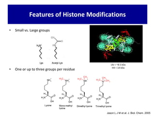 • Small vs. Large groups
• One or up to three groups per residue
Features of Histone Modifications
Jason L J M et al. J. Biol. Chem. 2005
Ub = ~8.5 kDa
H4 = 14 kDa
 