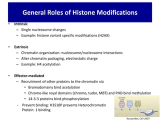 General Roles of Histone Modifications
• Intrinsic
– Single nucleosome changes
– Example: histone variant specific modifications (H2AX)
• Extrinsic
– Chromatin organization: nucleosome/nucleosome interactions
– Alter chromatin packaging, electrostatic charge
– Example: H4 acetylation
• Effector-mediated
– Recruitment of other proteins to the chromatin via
• Bromodomains bind acetylation
• Chromo-like royal domains (chromo, tudor, MBT) and PHD bind methylation
• 14-3-3 proteins bind phosphorylation
Kouzarides, Cell 2007
- Prevent binding: H3S10P prevents Heterochromatin
Protein 1 binding
 