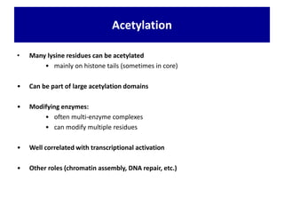 Acetylation
• Many lysine residues can be acetylated
• mainly on histone tails (sometimes in core)
• Can be part of large acetylation domains
• Modifying enzymes:
• often multi-enzyme complexes
• can modify multiple residues
• Well correlated with transcriptional activation
• Other roles (chromatin assembly, DNA repair, etc.)
 