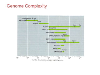 Genome Complexity
 