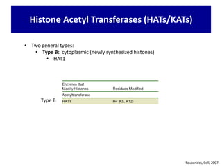 • Two general types:
• Type B: cytoplasmic (newly synthesized histones)
• HAT1
Kouzarides, Cell, 2007.
Histone Acetyl Transferases (HATs/KATs)
Type B
 