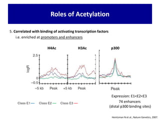 5. Correlated with binding of activating transcription factors
i.e. enriched at promoters and enhancers
Roles of Acetylation
Heintzman N et al., Nature Genetics, 2007.
H4Ac H3Ac p300
Expression: E1<E2<E3
74 enhancers
(distal p300 binding sites)
 