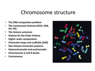 Chromosome structure
• The DNA compaction problem
• The nucleosome histones (H2A, H2B,
H3, H4)
• The histone octamere
• Histone H1 the linker histone
• Higher order compactions
• Chromatin loops and scaffolds (SAR)
• Non histone chromatin proteins
• Heterochromatin and euchromatin
• Chromosome G and R bands
• Centromeres
 