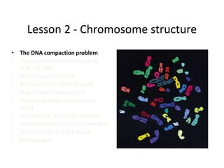 Lesson 2 - Chromosome structure
• The DNA compaction problem
• The nucleosome histones (H2A,
H2B, H3, H4)
• The histone octamere
• Histone H1 the linker histone
• Higher order compactions
• Chromatin loops and scaffolds
(SAR)
• Non histone chromatin proteins
• Heterochromatin and euchromatin
• Chromosome G and R bands
• Centromeres
 