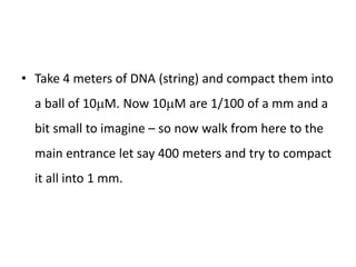 • Take 4 meters of DNA (string) and compact them into
a ball of 10M. Now 10M are 1/100 of a mm and a
bit small to imagine – so now walk from here to the
main entrance let say 400 meters and try to compact
it all into 1 mm.
 