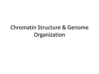 Chromatin Structure & Genome
Organization
 