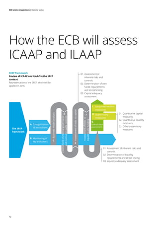 Icaap Risk Taxonomy dt_mt_ECB onsite visit_190716 | PDF