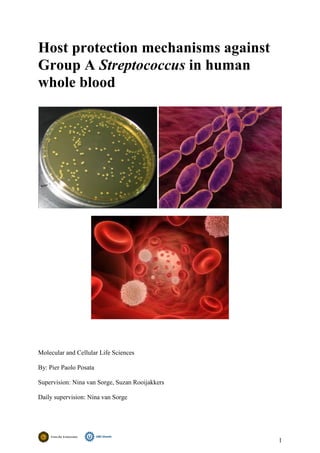 1
Host protection mechanisms against
Group A Streptococcus in human
whole blood
Molecular and Cellular Life Sciences
By: Pier Paolo Posata
Supervision: Nina van Sorge, Suzan Rooijakkers
Daily supervision: Nina van Sorge
 
