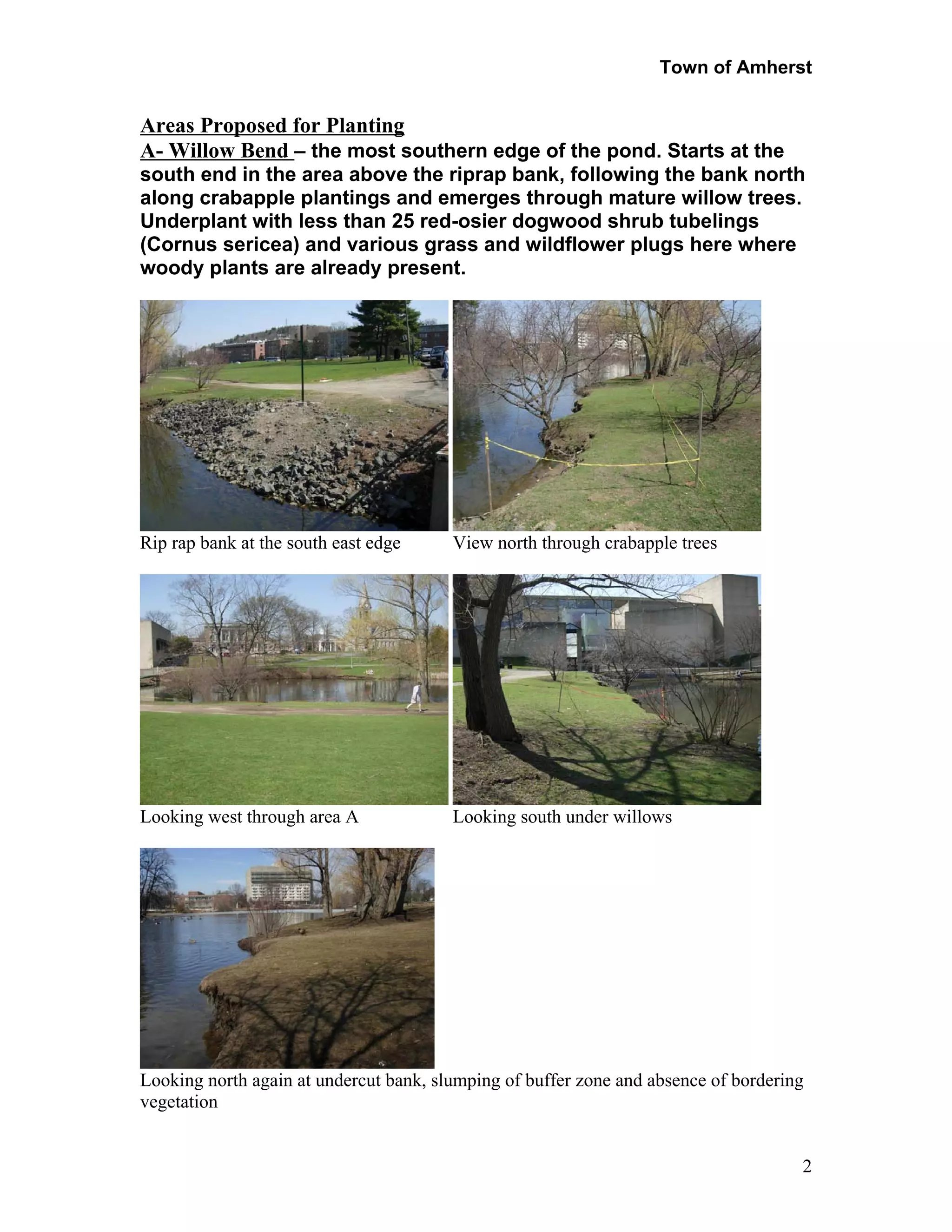 UMass Campus Pond - Amherst Conservation Commission Supporting ...