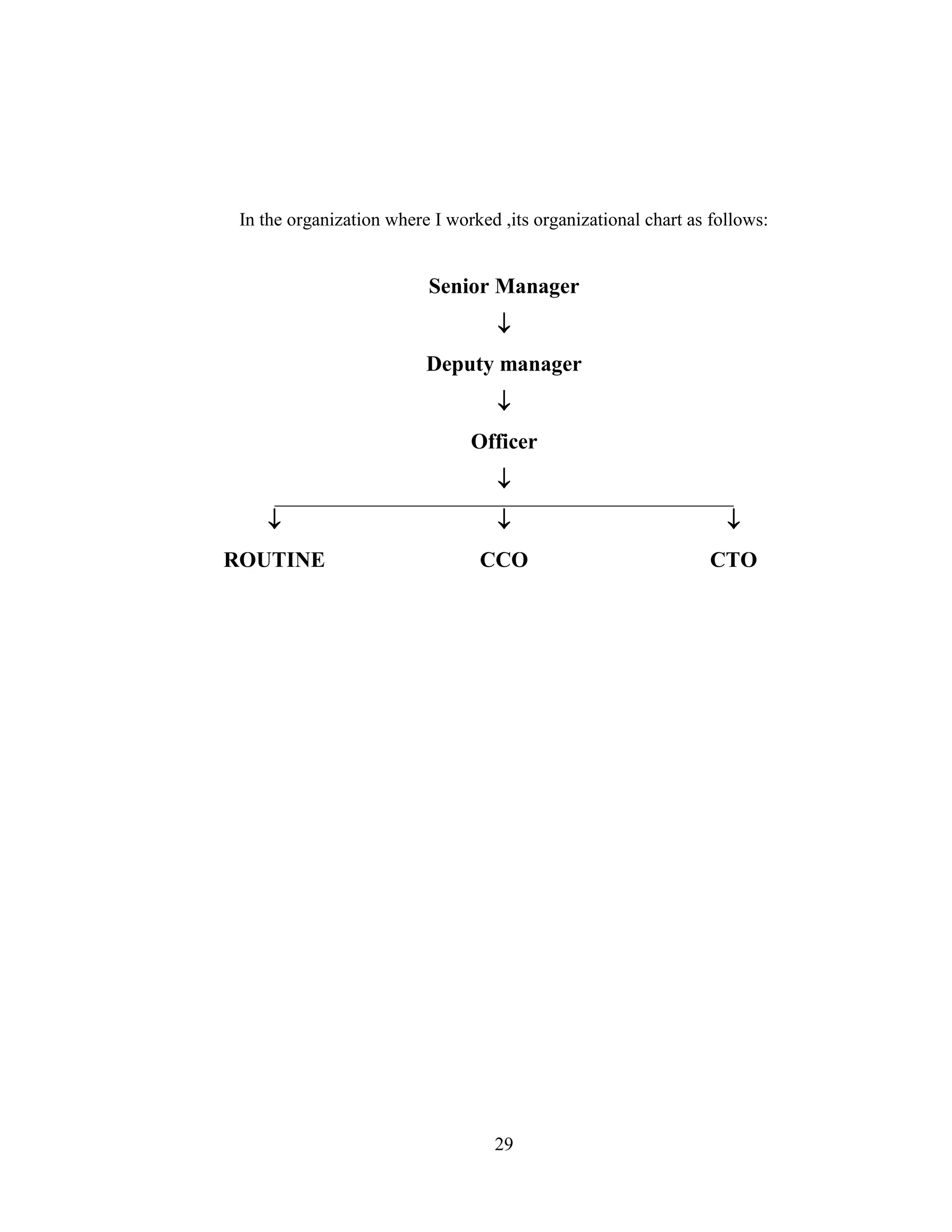 29
In the organization where I worked ,its organizational chart as follows:
Senior Manager

Deputy manager

Officer

  
ROUTINE CCO CTO
 