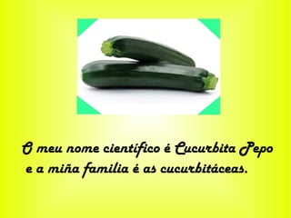 O meu nome científico é Cucurbita Pepo
e a miña familia é as cucurbitáceas.
 