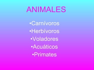 ANIMALES ,[object Object],[object Object],[object Object],[object Object],[object Object]