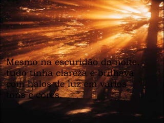 Mesmo na escuridão da noite,  tudo tinha clareza e brilhava  com halos de luz em vários  tons e cores. 