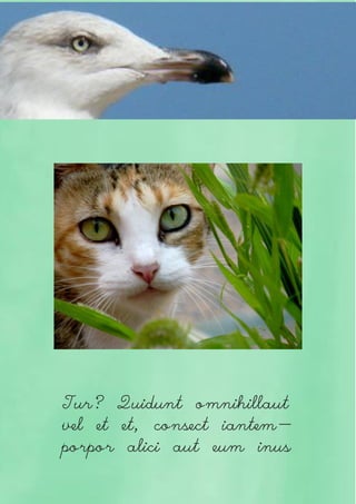 Tur? Quidunt omnihillaut
vel et et, consect iantem-
porpor alici aut eum inus
 