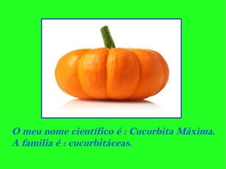 O meu nome científico é : Cucurbita Máxima.
A familia é : cucurbitáceas.
 