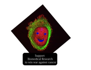 Support
Biomedical Research
to win war against cancer
 