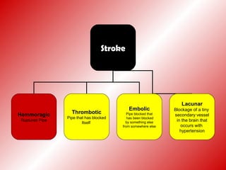 Stroke
Hemmoragic
Ruptured Pipe
Thrombotic
Pipe that has blocked
Itself
Embolic
Pipe blocked that
has been blocked
by something else
from somewhere else
Lacunar
Blockage of a tiny
secondary vessel
in the brain that
occurs with
hypertension
 