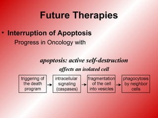 Future Therapies
• Interruption of Apoptosis
Progress in Oncology with
 