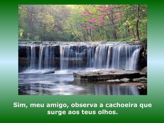 Sim, meu amigo, observa a cachoeira que
surge aos teus olhos.
 